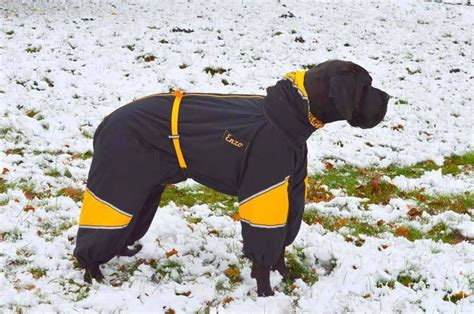 60 best Custom Made Dog Snowsuits & Raincoats images on Pinterest | Coats for dogs, Dog coats ...