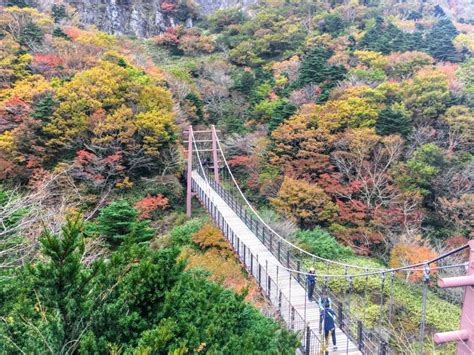 The Best Trail to Hike Mt. Hallasan on Jeju Island, South Korea - Erika's Travelventures