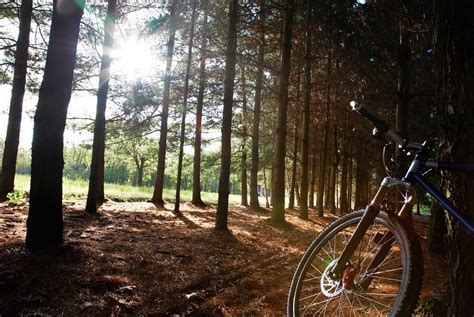 Breckenridge Mountain Biking For Beginners: Best Places to Ride