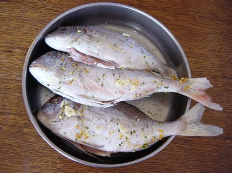 Raw fish spiced and ready for owen Free Photo Download | FreeImages