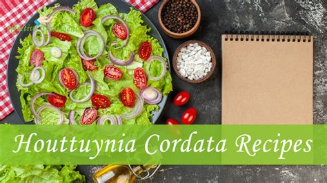 7 Ways Houttuynia Cordata Thunb to Hugely Boost Your Health