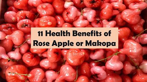 12 Health Benefits of Rose Apple or Makopa - YouTube