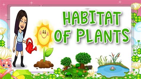 Habitat of Plants | Plants | Science | Kindergarten | Teacher Beth ...