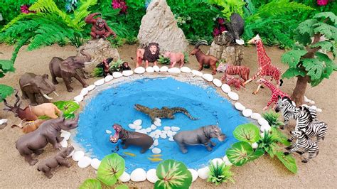 Wild Animal Dioramas