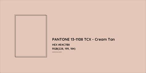 About PANTONE 13-1108 TCX - Cream Tan Color - Color codes, similar ...