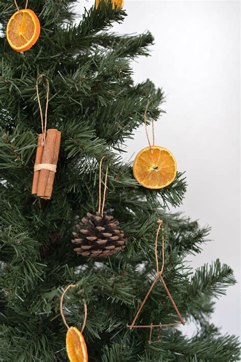 DIY Tree Ornaments Using Natural Materials | Hunker | Christmas tree ...