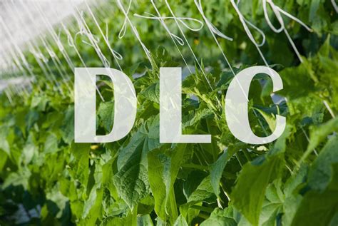 9 Things You Need to Know about DLC Listed LED Grow Lights - Atop Lighting