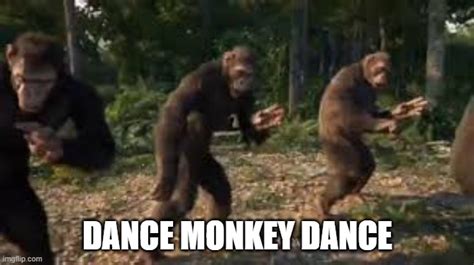 dance monkey dance - Imgflip