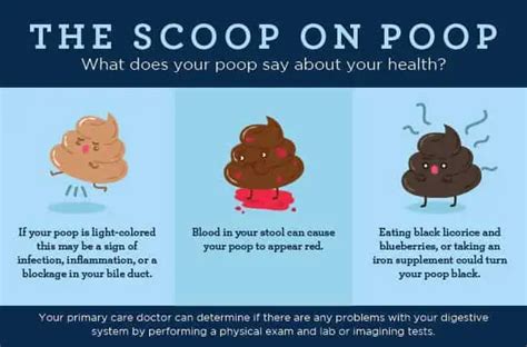 What Does Poop Taste Like & Why? (Important)! - Into Yard