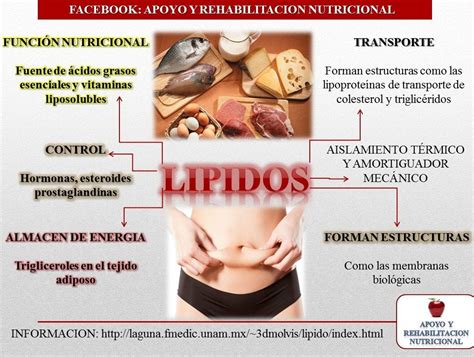 Los lípidos en tu Cuerpo | Signs, Signup, Movie posters