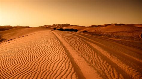 El desierto del Sáhara, cada vez más grande | Clima.com