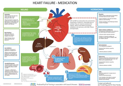 Back to Basics: Heart failure medication - Issues and Answers