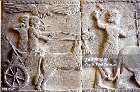 51 Hittite Chariot Stock Photos, High-Res Pictures, and Images - Getty ...