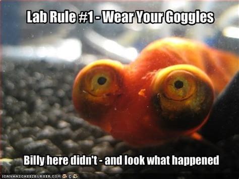 Career memes of the week: lab technician - Careers | siliconrepublic.com - Ireland's Technology ...