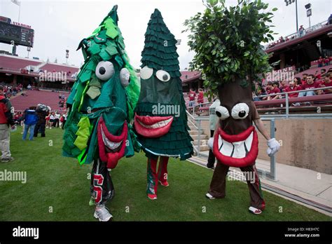 October 23, 2010; Stanford, CA, USA; Version of the Stanford Cardinal mascot perform on the ...