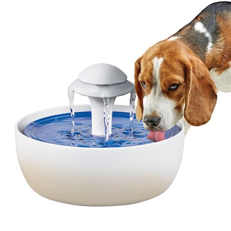 Collections Etc Automatic Pet Water Fountain with Charcoal Filter and ...