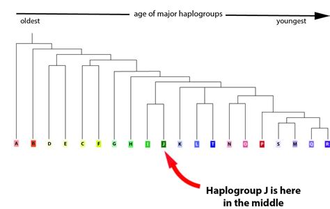 YDNA Haplogroup J | J1 and J2 - Your DNA Guide - Diahan Southard