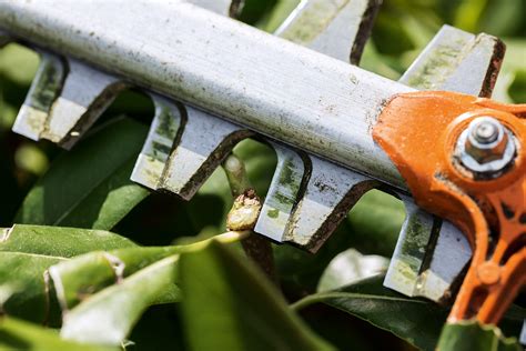 How to clean a hedge trimmer | STIHL