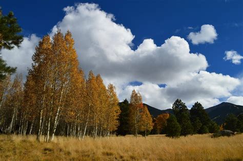 Pictures I took hiking in Flagstaff, Arizona : r/pics