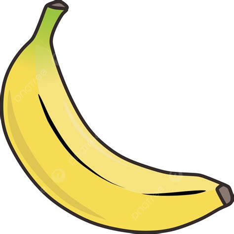 Fruit Banana Yellow And Green Vector, Banana, Fruit, Food PNG and Vector with Transparent ...