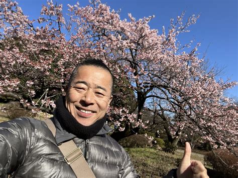 Winter cherry blossoms in Shinjuku gyoen park! - TOKYO travel TIPS