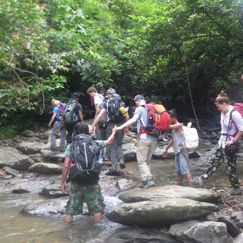 Gunung Leuser National Park Trekking | Adventure Indonesia Tours - Bali & Beyond