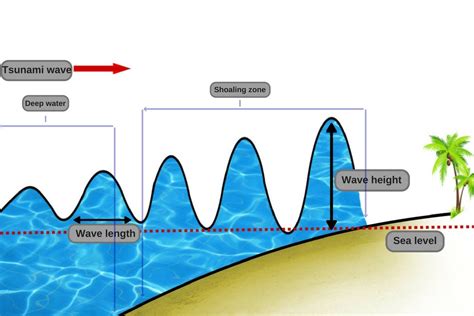 The Science Of A Tsunami: What Causes Tides To Become So Gigantic?