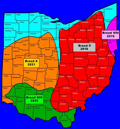 Indiana Cicada Map 2024 - Barbe Selinda