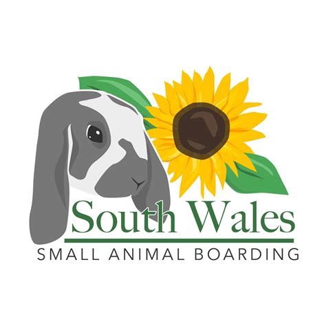 Small Animal Boarding South Wales | Caerphilly