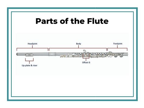 Parts Of A Flute Diagram