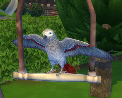 Sims 4 CC's - The Best: Pet Decor by BigUglyHag