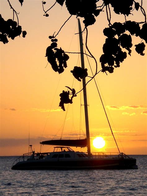 Maui catamaran | Catamaran, Maui, Ocean