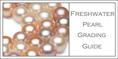 Pearl Grading: All About the A-AAA Pearl Grading Scales | Pearls, Contemporary jewellery, Lalique