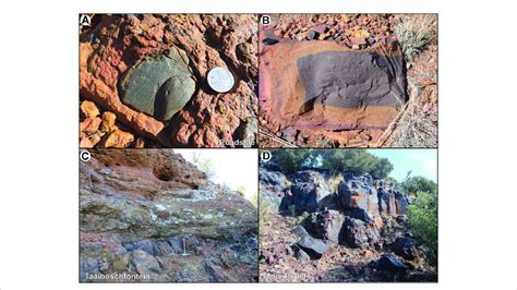 (A) Facetted and striated clast embedded in ferruginous diamictite. (B ...