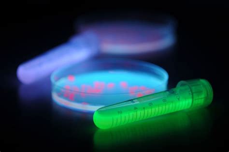 Green Fluorescent Protein Facts