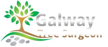 Galway Tree Surgeons