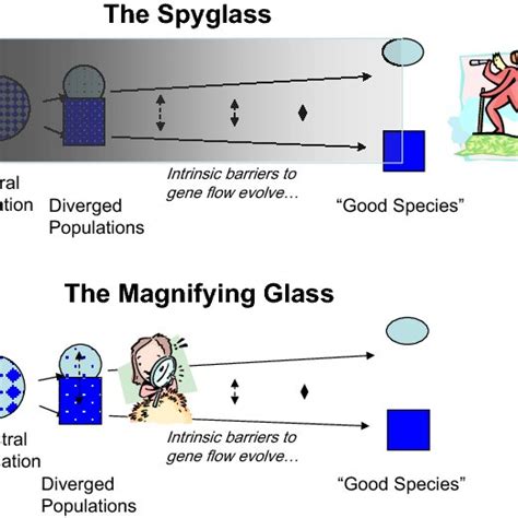 (PDF) Natural selection in action via speciation