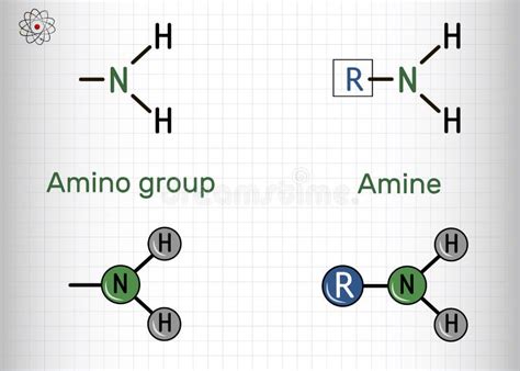 The Role of Amino Functional Group in Organic Shopping