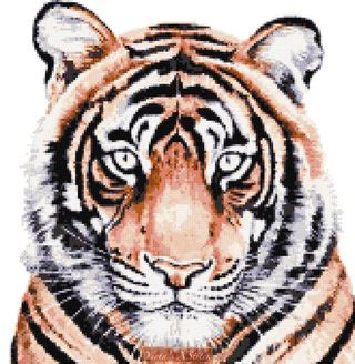 Tiger cross stitch kits | Yiotas XStitch