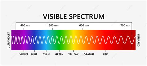 Visible Light Spectrum Wavelength Ray, Sun, Ultraviolet, Multicolor PNG and Vector with ...