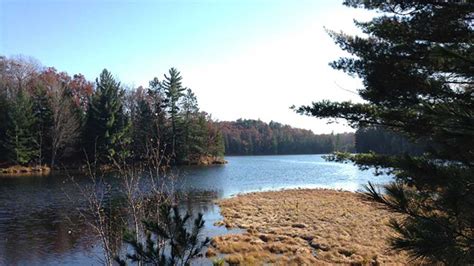 Trout Lake Pathway | Michigan