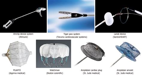 Liner Unterseite beleidigen nitinol mesh acp amulet Nicht zugänglich ...