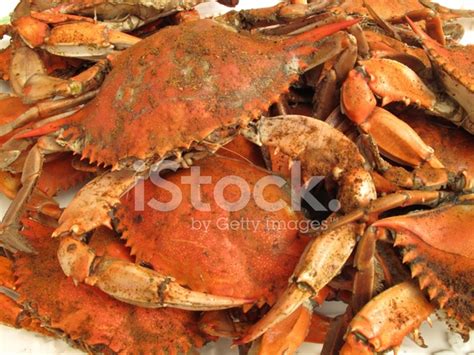 Jumbo Steamed Hard Shells Stock Photo | Royalty-Free | FreeImages