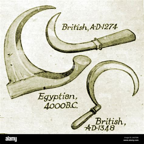 Ancient Egyptian Farming Tools