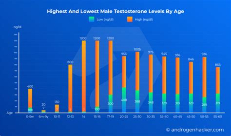 Infographic : Testosterone levels by age chart for men - Infographic.tv - Number one ...