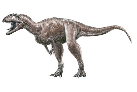 Marshosaurus Pictures & Facts - The Dinosaur Database