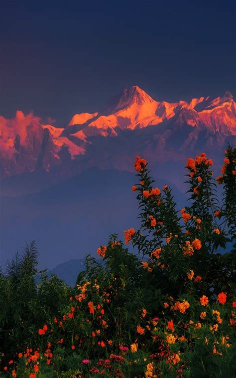 1200x1920 Resolution Himalayas Mountains Nepal Region 1200x1920 Resolution Wallpaper ...