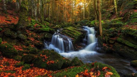 nature, Landscape, Waterfall, Forest Wallpapers HD / Desktop and Mobile Backgrounds