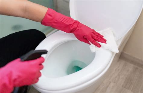 How To Clean Toilet Bowl Using Vinegar | Bestbuyideas