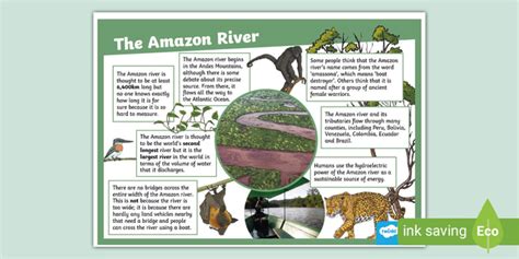 Amazon River Information Poster | Amazon River Facts KS2